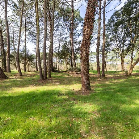 Le Domaine Du Golf De Pinsolle - Maeva - 2 Pieces 6 Personnes - Confort Mae-2684