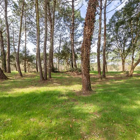 Le Domaine Du Golf De Pinsolle - Maeva - 2 Pieces 6 Personnes - Confort Mae-2684 Soustons